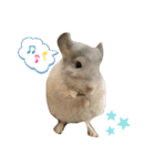 3びきのこねずみ（個別スタンプ：20）