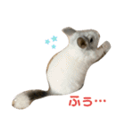 3びきのこねずみ（個別スタンプ：22）