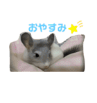 3びきのこねずみ（個別スタンプ：24）