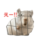 3びきのこねずみ（個別スタンプ：27）