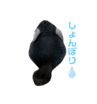 3びきのこねずみ（個別スタンプ：32）