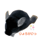 3びきのこねずみ（個別スタンプ：34）