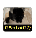 3びきのこねずみ（個別スタンプ：35）