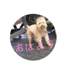 動物ラインスタンプ ピクニカスタンプ2（個別スタンプ：2）
