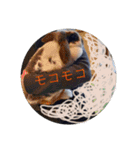動物ラインスタンプ ピクニカスタンプ2（個別スタンプ：3）