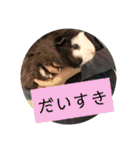 動物ラインスタンプ ピクニカスタンプ2（個別スタンプ：6）