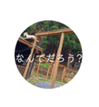 動物ラインスタンプ ピクニカスタンプ2（個別スタンプ：9）