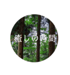 動物ラインスタンプ ピクニカスタンプ2（個別スタンプ：21）