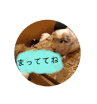動物ラインスタンプ ピクニカスタンプ2（個別スタンプ：22）