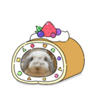ウチの白うさぎ（個別スタンプ：7）