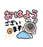 CAT ぴっぴっぴー（個別スタンプ：21）