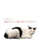 動物1フレーズスタンプ（個別スタンプ：5）