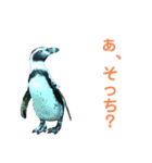 動物1フレーズスタンプ（個別スタンプ：8）
