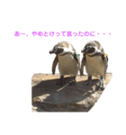 動物1フレーズスタンプ（個別スタンプ：10）
