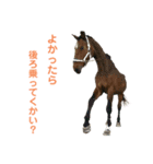 動物1フレーズスタンプ（個別スタンプ：14）