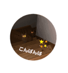 茶トラのトラモフ2 あいさつ編（個別スタンプ：7）