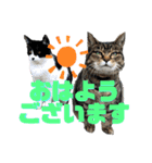 あずきとミルク（個別スタンプ：7）