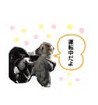 でにれおちゃん（個別スタンプ：18）
