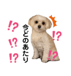 でにれおちゃん（個別スタンプ：20）