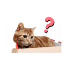ツナルバーグ（個別スタンプ：3）