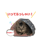 ちょこにゃんのスタンプ（個別スタンプ：23）