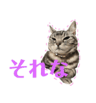 ちょこにゃんのスタンプ（個別スタンプ：31）