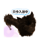 akisstamp（個別スタンプ：5）