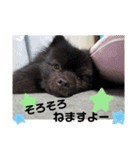 akisstamp（個別スタンプ：6）