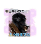 akisstamp（個別スタンプ：8）