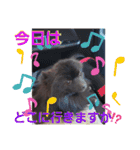 akisstamp（個別スタンプ：9）