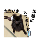 akisstamp（個別スタンプ：11）