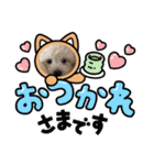 木本ナナちゃん3（個別スタンプ：6）