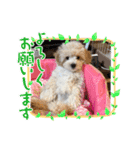 木本ナナちゃん3（個別スタンプ：7）