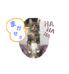 ダックスのりりちゃん（個別スタンプ：2）