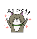 ねこのお茶子（個別スタンプ：1）