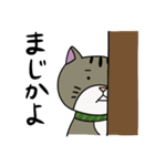 ねこのお茶子（個別スタンプ：11）