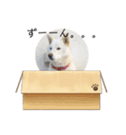 雪美スタンプ2個目♡（個別スタンプ：10）