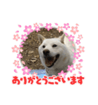 雪美スタンプ2個目♡（個別スタンプ：39）