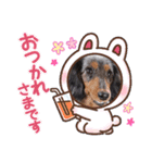 メルのゆるい日常スタンプ2（個別スタンプ：12）