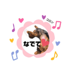 メルのゆるい日常スタンプ2（個別スタンプ：15）