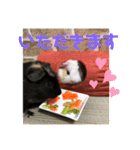 もーるースタンプ2（個別スタンプ：1）