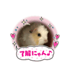 もーるースタンプ2（個別スタンプ：9）