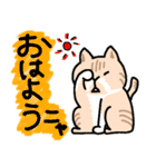 ひろちゃんのニャンズ（個別スタンプ：1）