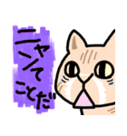 ひろちゃんのニャンズ（個別スタンプ：8）
