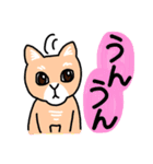 ひろちゃんのニャンズ（個別スタンプ：11）