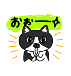 ひろちゃんのニャンズ（個別スタンプ：14）