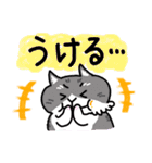 ひろちゃんのニャンズ（個別スタンプ：16）