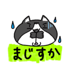 ひろちゃんのニャンズ（個別スタンプ：17）