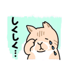 ひろちゃんのニャンズ（個別スタンプ：22）