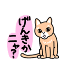 ひろちゃんのニャンズ（個別スタンプ：23）